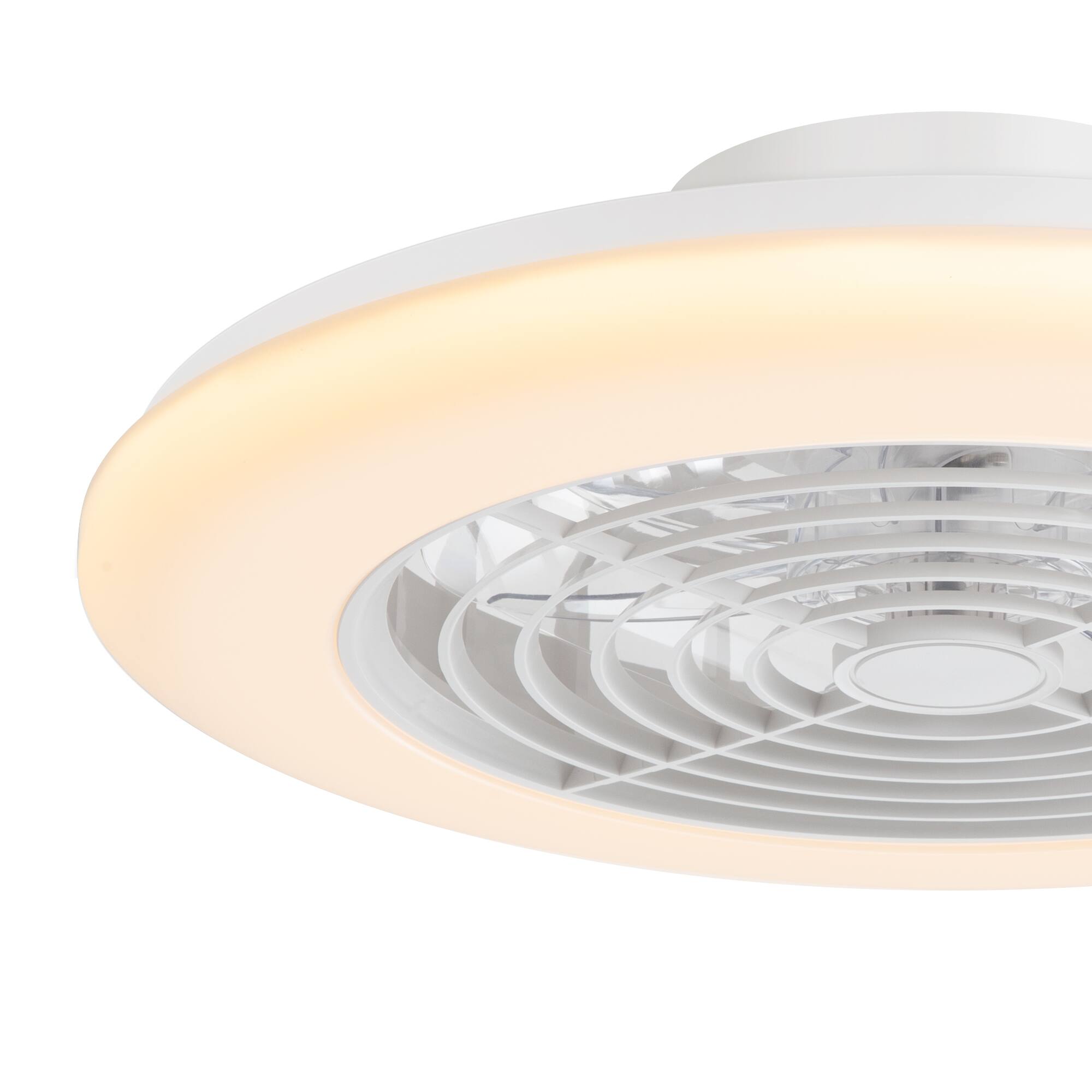 Left. Breezary - 19" RGB Ceiling Fan with 5 ABS Blades, DC Motor, 3-Color Light, 6-Speed Remote Control with Timer Function - Matte White.