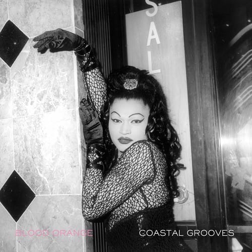 Blood Orange - Coastal Grooves   - COMPACT DISCS [CD] price history on PriceWatchPro