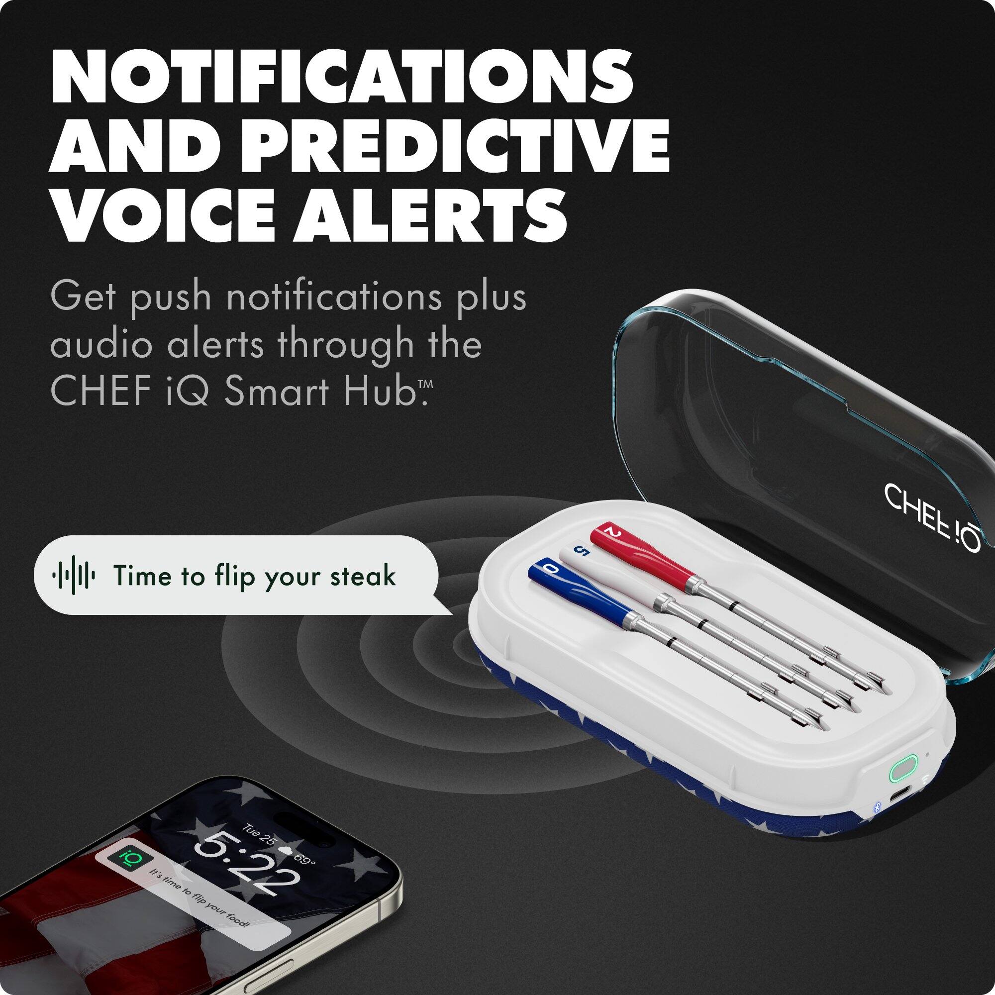 NOTIFICATIONS AND PREDICTIVE VOICE ALERTS

Get push notifications plus audio alerts through the CHEF iQ Smart Hub™

Time to flip your steak

Tue 25 5:22
