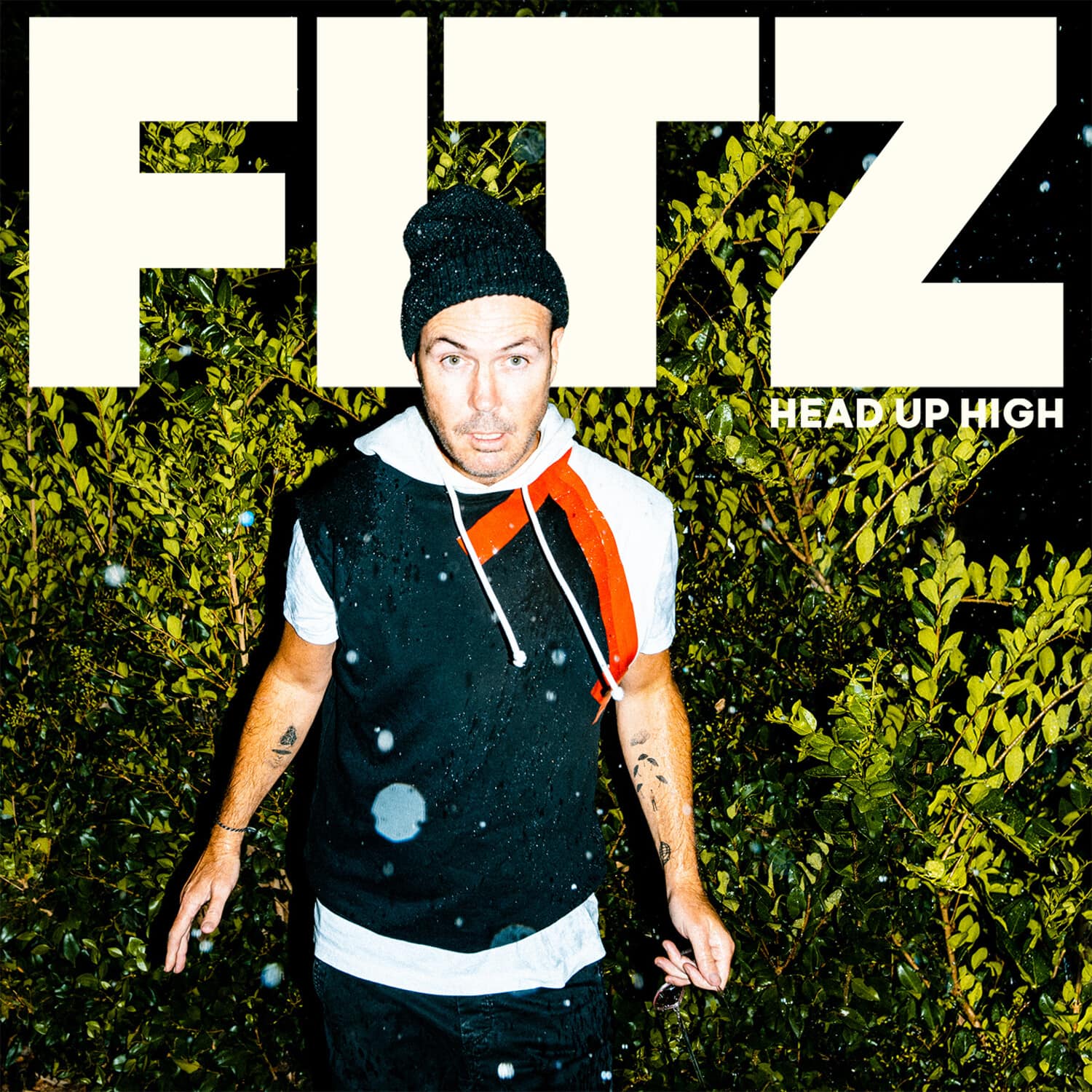 Fitz - Head Up High   - COMPACT DISCS [CD] price history on PriceWatchPro