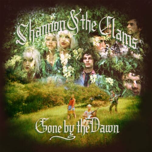 Shannon and the Clams - Gone By the Dawn   - COMPACT DISCS [CD] price history on PriceWatchPro