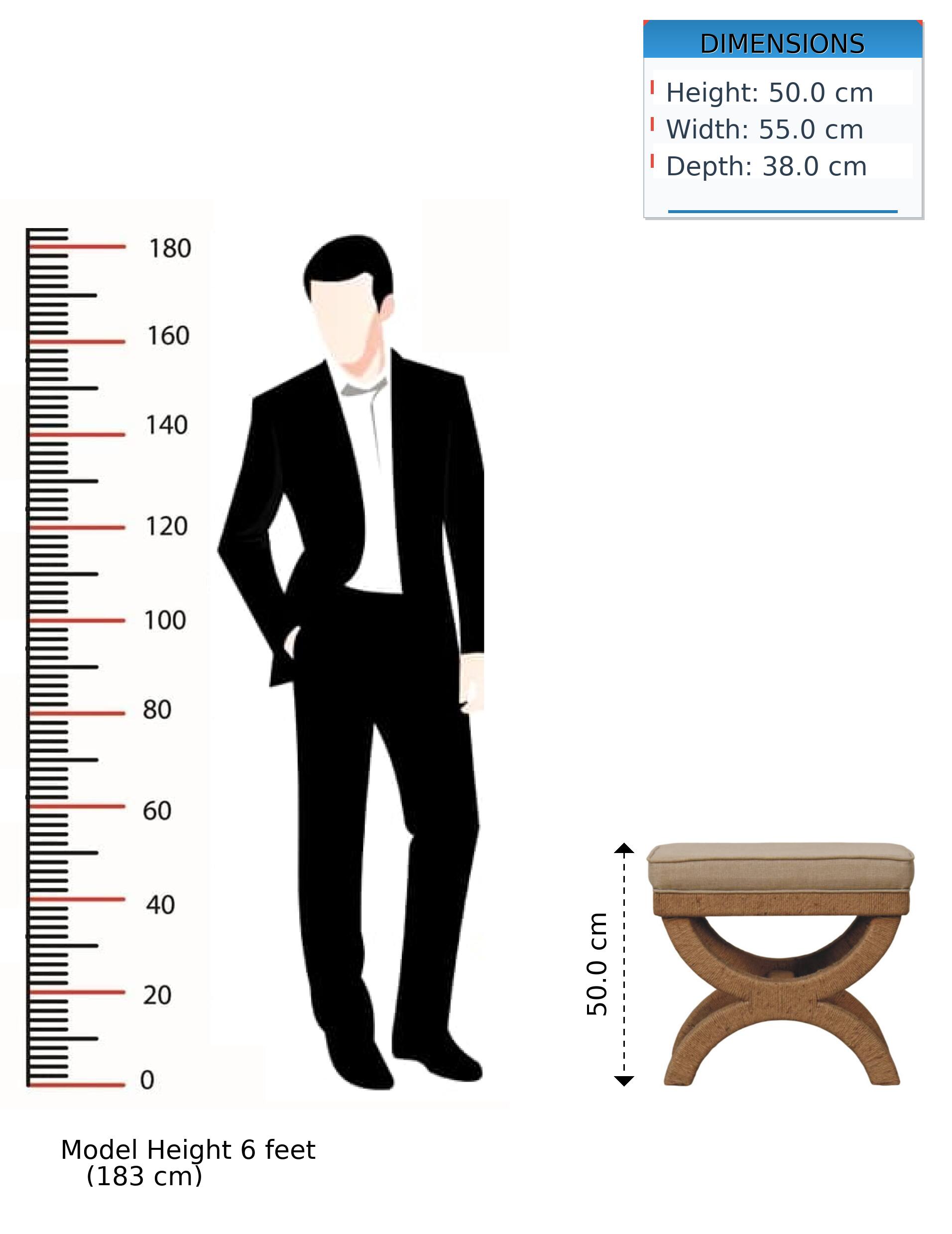 DIMENSIONS  
Height: 50.0 cm  
Width: 55.0 cm  
Depth: 38.0 cm  

Model Height: 6 feet (183 cm)