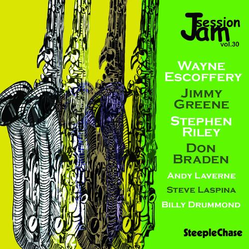 Stephen Riley - Jam Session, Vol. 30   - COMPACT DISCS [CD] price history on PriceWatchPro