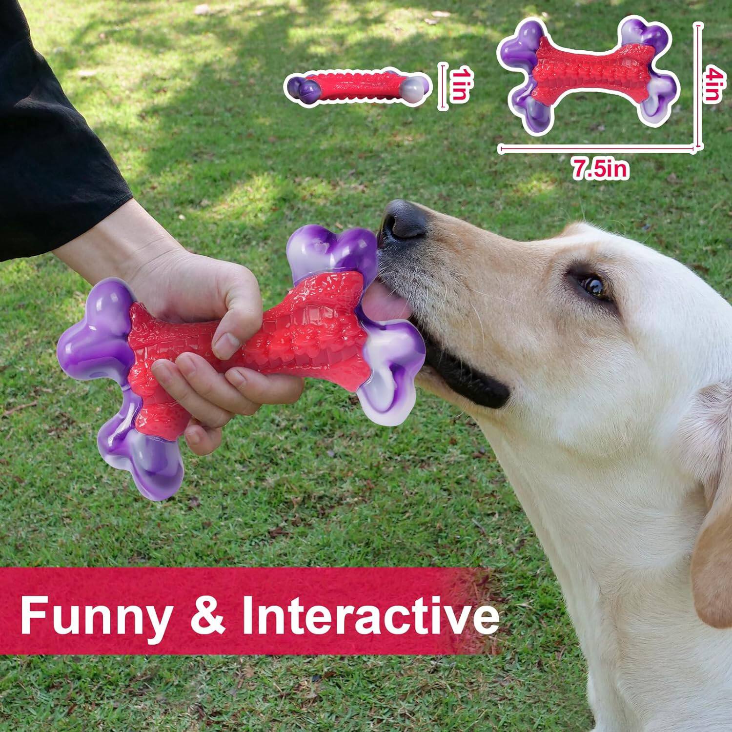 1 in X 7.5 in  
Funny & Interactive
