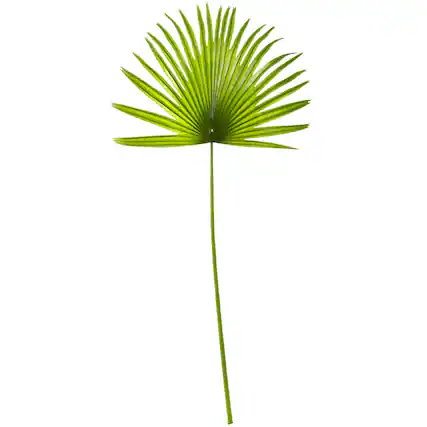 Front. BreeBe - 33'' Fan Palm Artificial Plant (Set of 6) - Green.