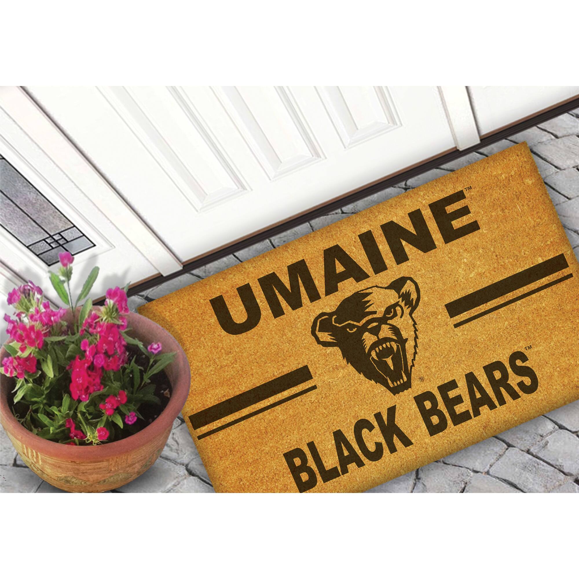 UMAINE  
BLACK BEARS