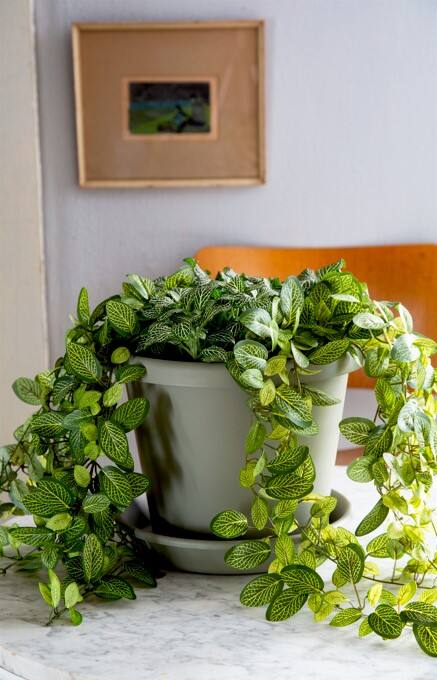 Alt View 1. The HC Companies - The HC Companies Planter Saucer Tray for 24 Inch Classic Pot Container, Green.