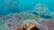 Alt View 14. BeamTeam - Stranded Deep.