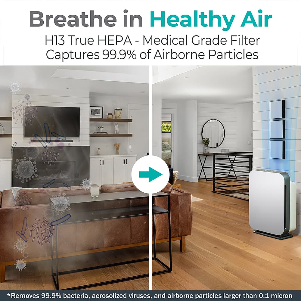Breathe in Healthy Air H13 True HEPA - Medical - Grade Filter Captures 99.9% of Airborne Particles *Removes 99.9% bacteria, aerosolized viruses, and airborne particles larger than 0.1 micron