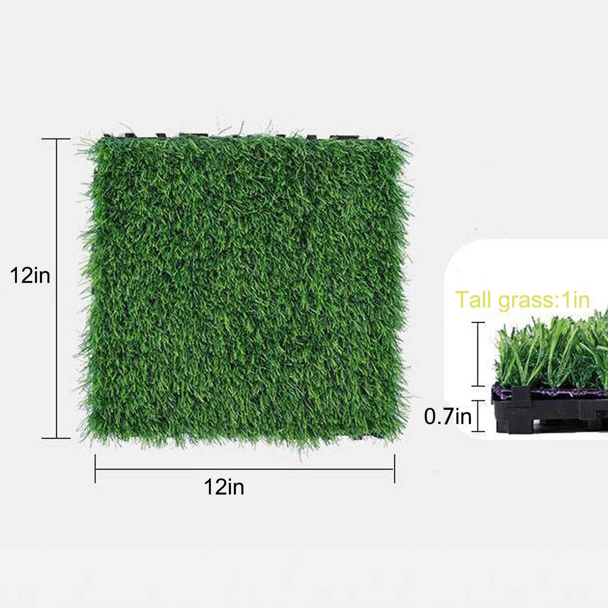 12in Tall grass: 1in  
0.7in  
12in
