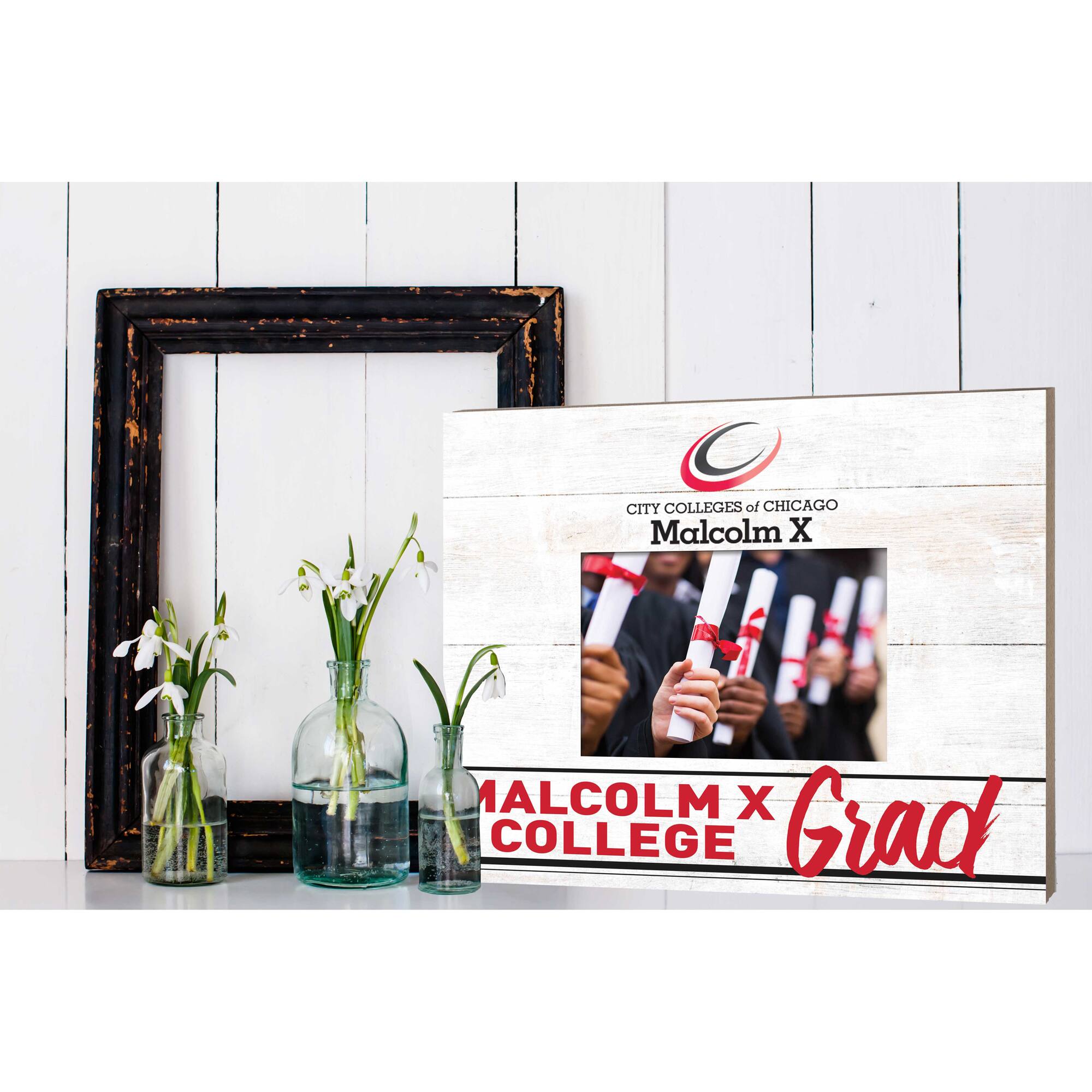 CITY COLLEGES of CHICAGO  
Malcolm X COLLEGE  
Grad