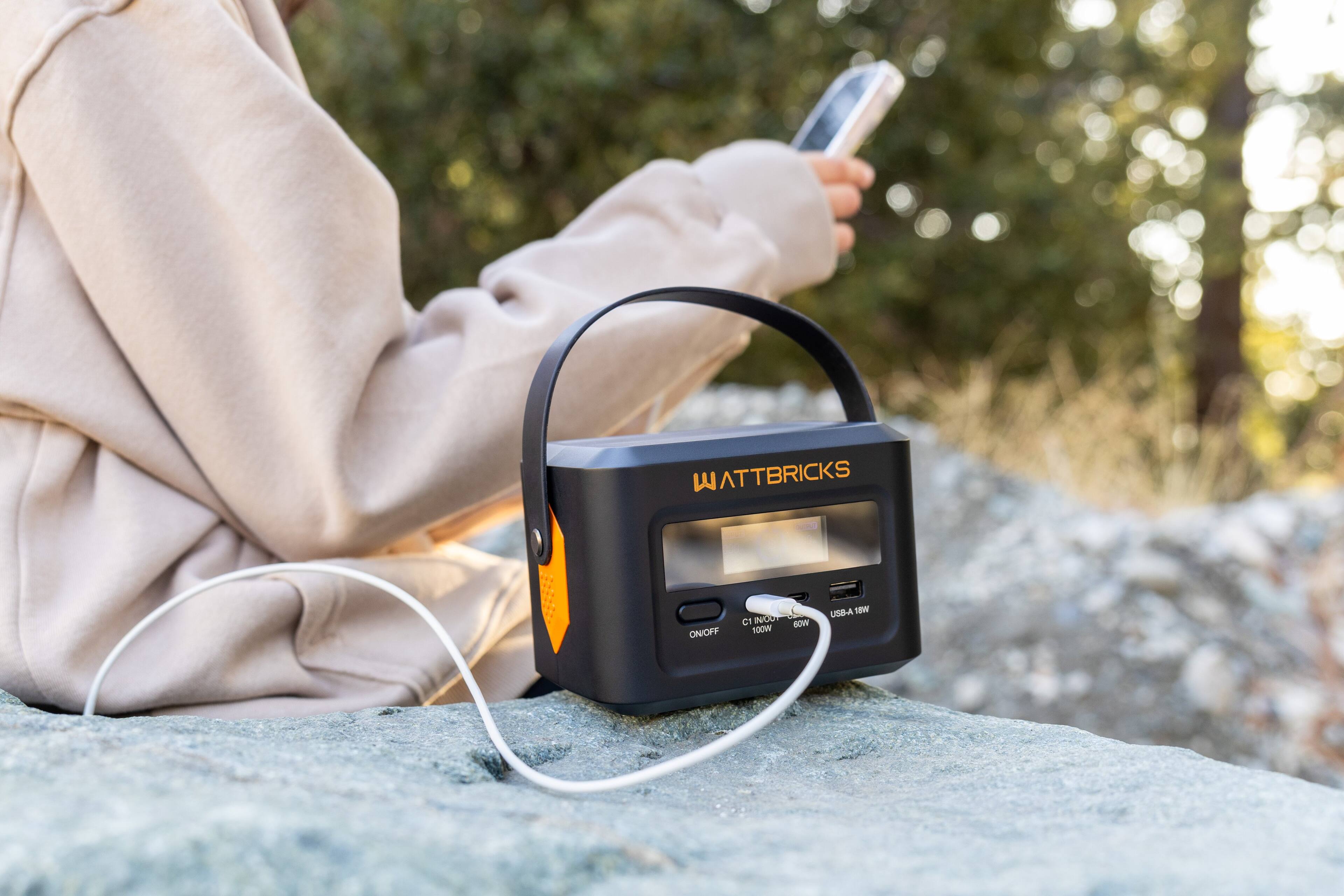 WATTBRICKS  
ON/OFF  
C1 IN/OUT 100W  
USB-A 18W  
60W