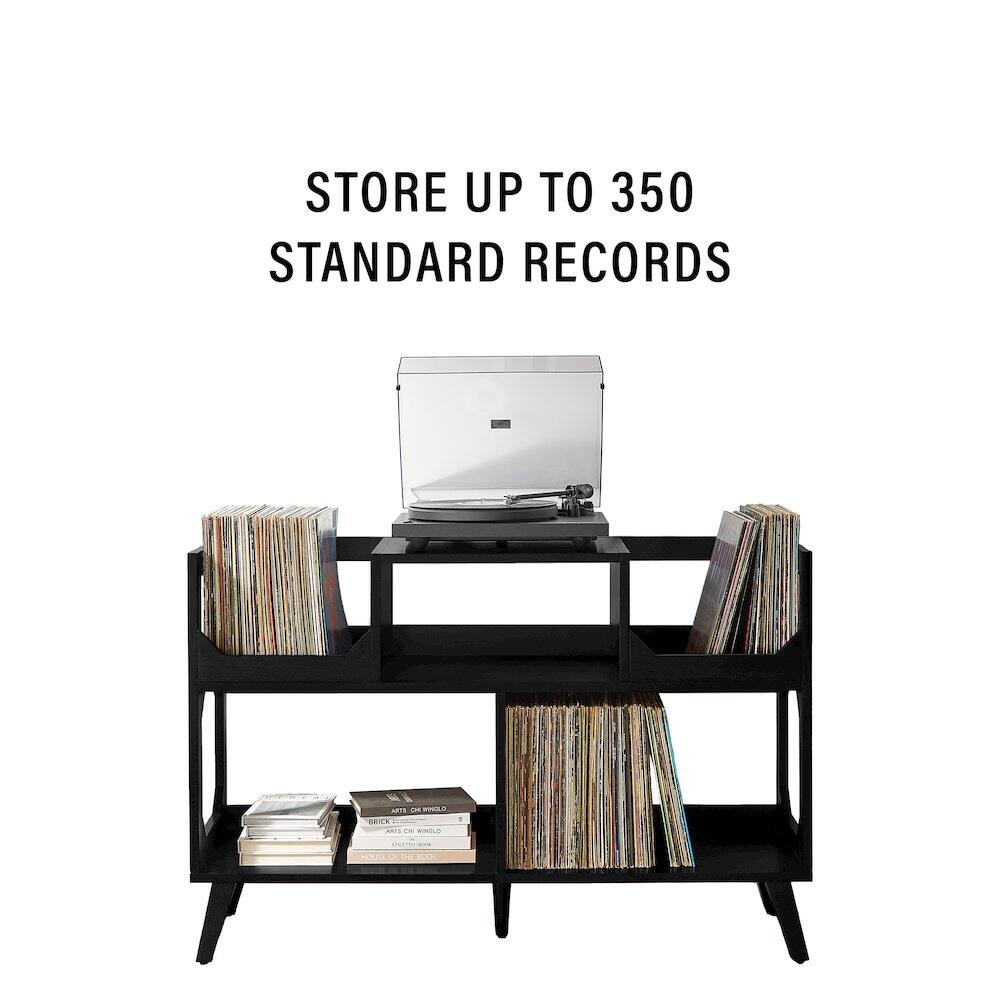 STORE UP TO 350 STANDARD RECORDS