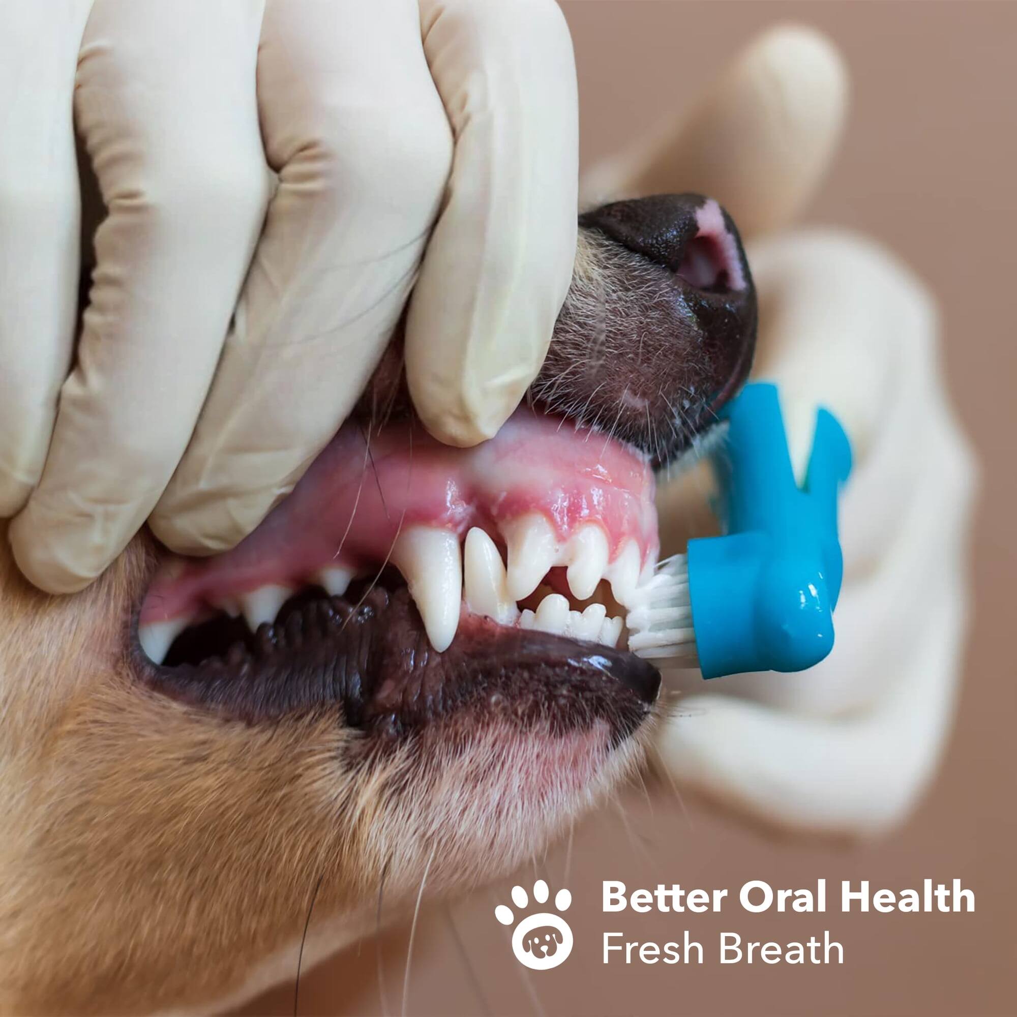 Better Oral Health  
Fresh Breath