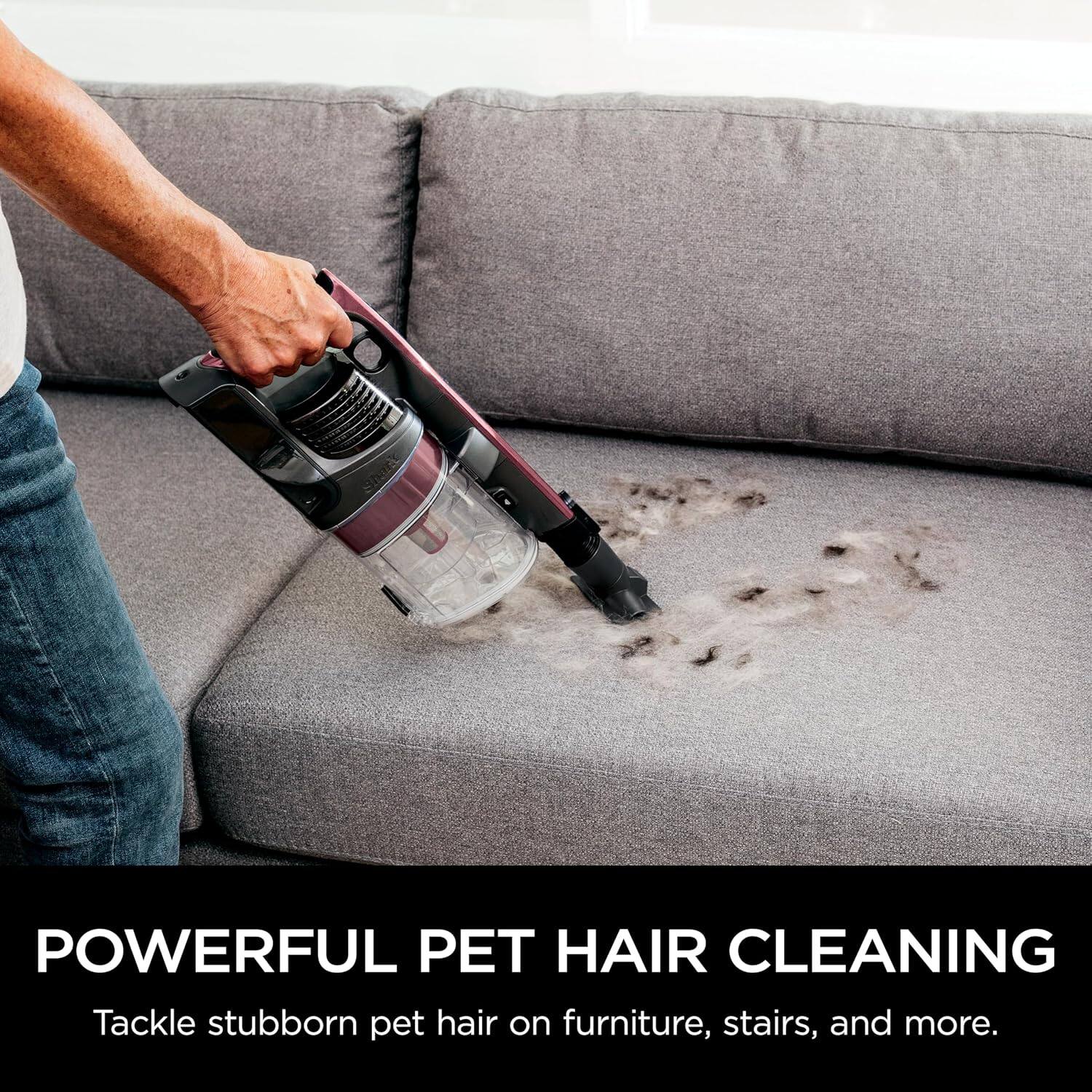 POWERFUL PET HAIR CLEANING  
Tackle stubborn pet hair on furniture, stairs, and more.