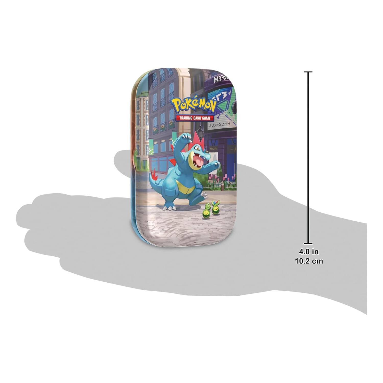 FEM Pokémon Trading Card Game 80A5 4.0 in 10.2 cm