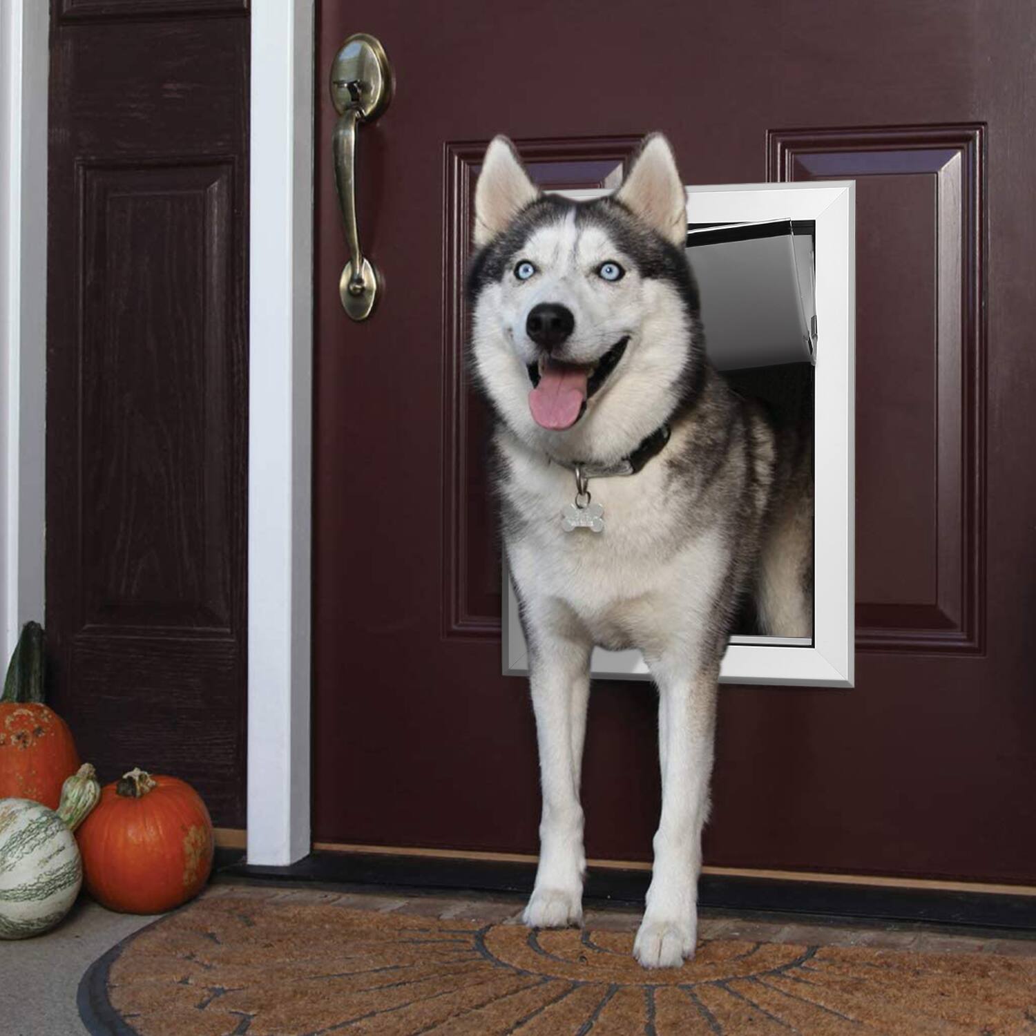 Alt View 8. Ownpets - Large Pet Door Dog Metal Magnetic Locking Flap Screen Gate.
