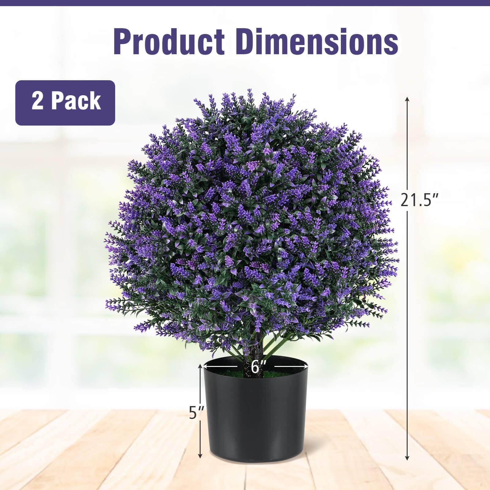 Product Dimensions  
2 Pack  
21.5"  
6"  
5"