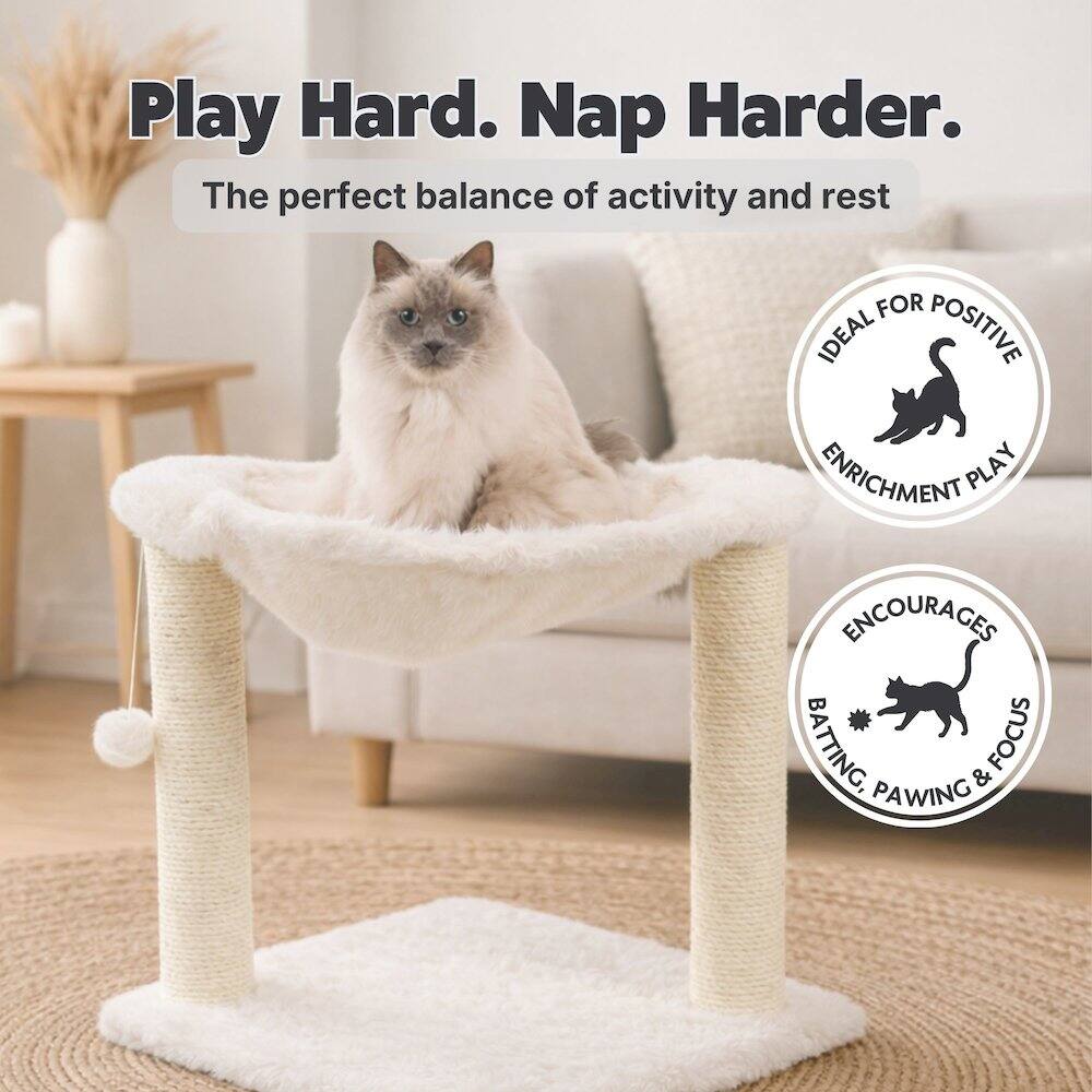 Play Hard. Nap Harder.  
The perfect balance of activity and rest  

FOR IDEAL POSITIVE ENRICHMENT PLAY ENCOURAGES BATTING, FOCUS & PAWING