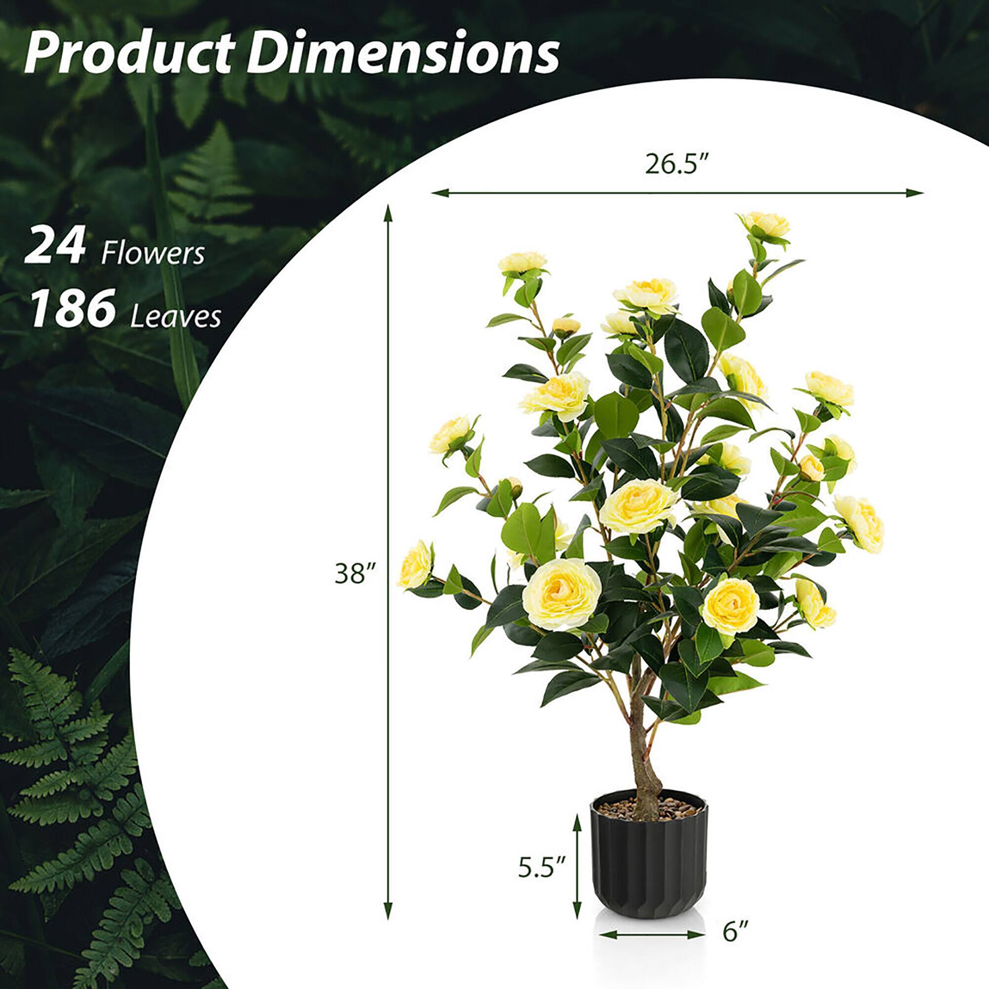 Product Dimensions

24 Flowers  
186 Leaves  

26.5"  
38"  
5.5"  
6"