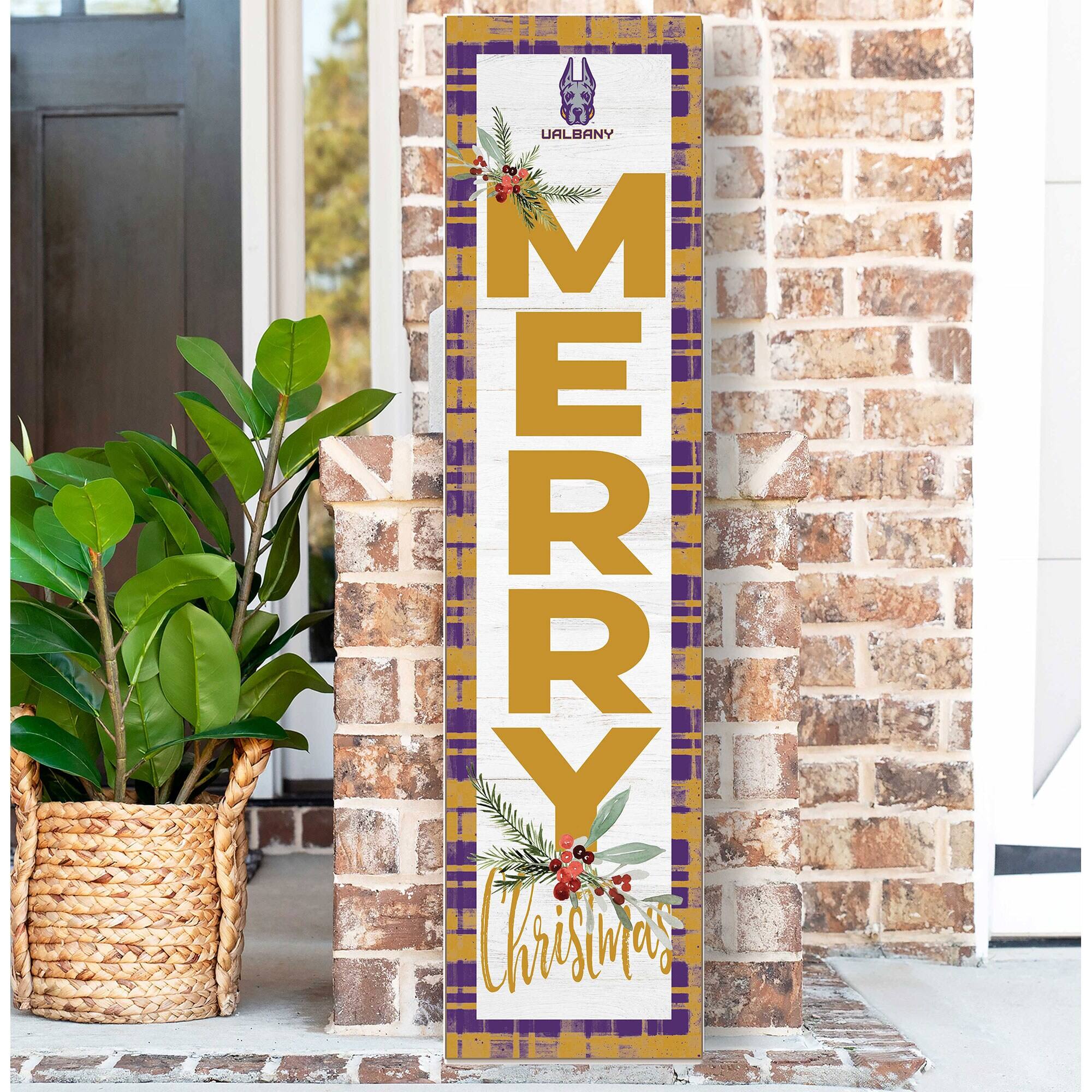 UALBANY  
MERRY  
Christmas