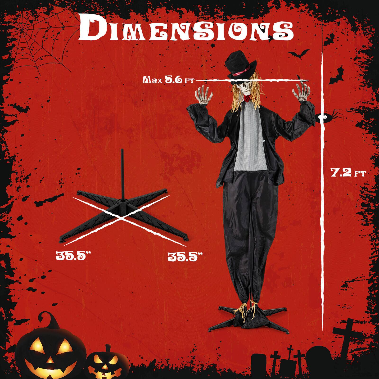 DIMENSIONS

Max 5.6 FT

7.2 FT

35.5"

35.5"
