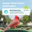 Instant "Bird's Here" Notification Bird Detection Just Now Northern Cardinal Detected by Birdfy Feeder 2 Pro at 10:05 am.