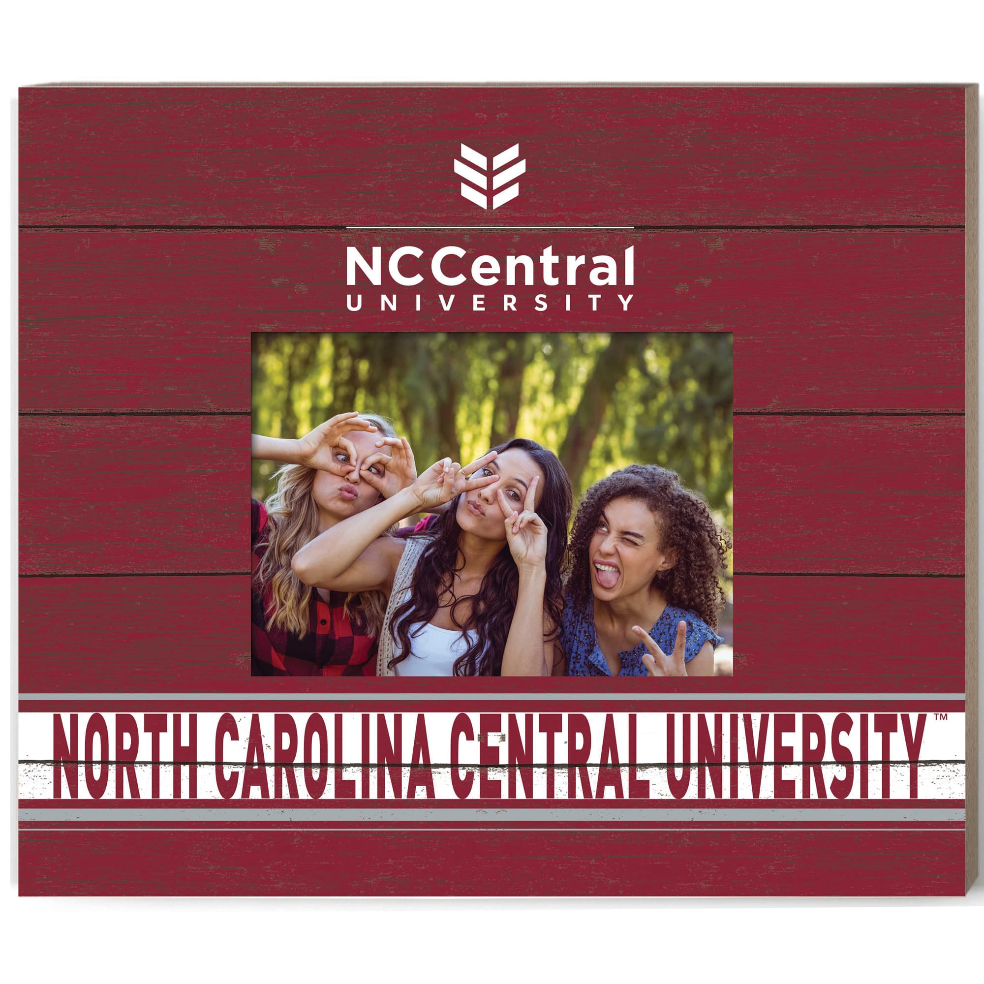 Jardine - North Carolina Central Eagles 11'' x 13'' Team Spirit Picture Frame - Maroon price history on PriceWatchPro