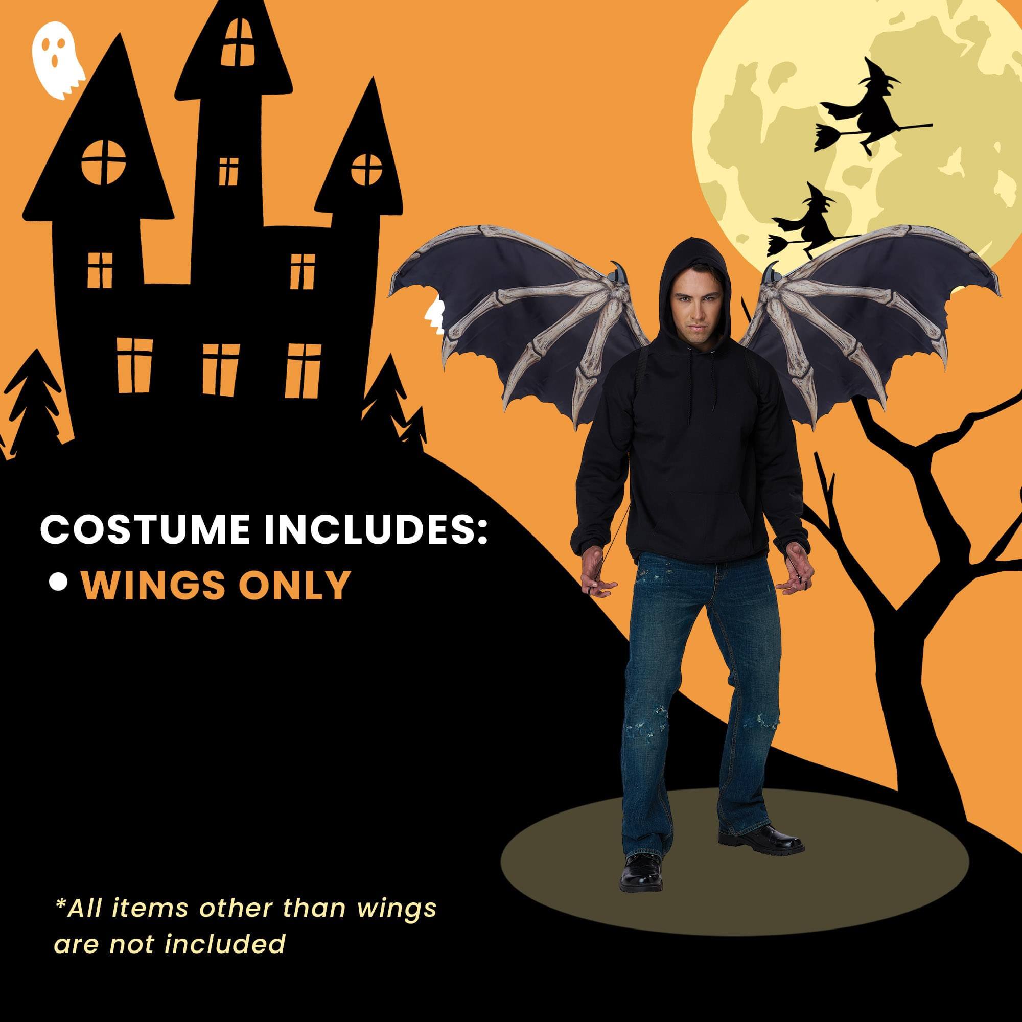 COSTUME INCLUDES:  
- WINGS ONLY  

*All items other than wings are not included