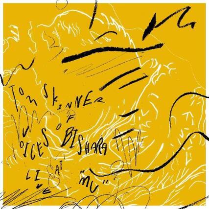 Tom Skinner
Voices Disappear
Lies at "mu"