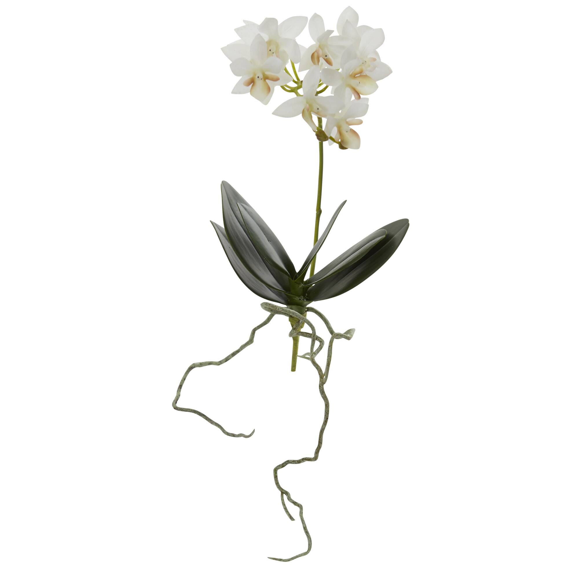 Angle. BreeBe - 13" Mini Orchid Phalaenopsis Artificial Flower (Set of 6) - White.