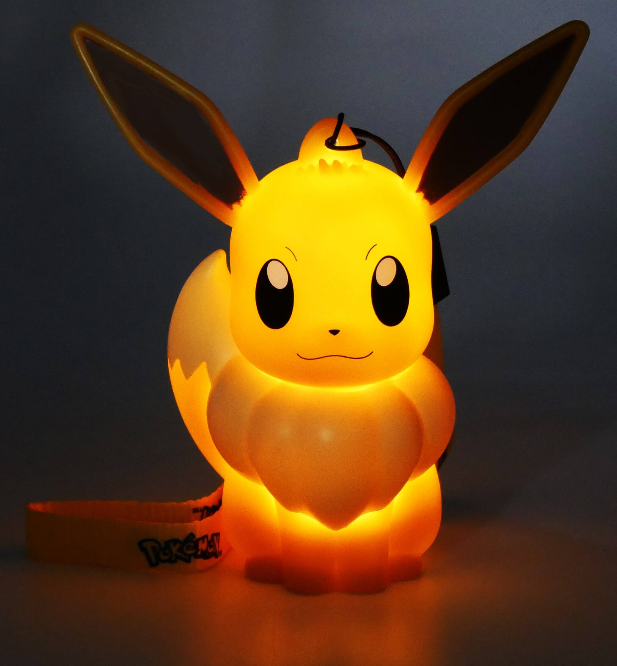 The text on the image reads: "POKÉMON"