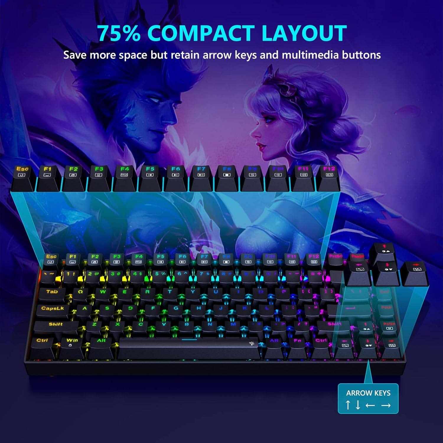 75% COMPACT LAYOUT  
Save more space but retain arrow keys and multimedia buttons  

Esc F1 F2 F3 F4 F5 F6 F7 F8 F9 F10 F11 F12  

ARROW KEYS