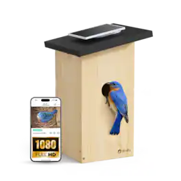 BIRDFY - Smart Bird House Camera Ebony, AI Bird ID(7-Day Free Trial), Solar Panel, Gift for Bird Lovers&Outdoor Birdwatching - Natural Wood Finish & Black