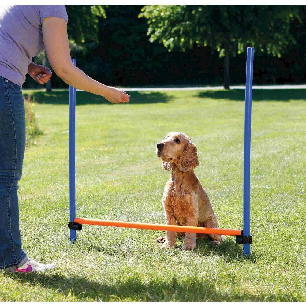 Alt View 4. TRIXIE - Dog Agility Hurdle, Obstacle Training - Blue/Orange.
