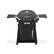 Angle. Weber - Q 2800N+ liquid Propane Gas Grill With Stand - Charcoal Grey.