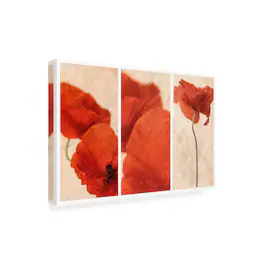 Trademark Fine Art - Nel Talen Three Red Canvas Art - 47 x 30 Inches - 47x30 - Multicolor
