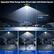 Upgraded Wide Range Solar Street Light with Motion Sensor
- 270°
- Installation Height: 10-20ft
- Max Lighting Area: 2200sq.ft
- 20% Brightness with No Motion
- 100% Brightness When Motion Detected
- Back to 20% Brightness with No Motion