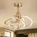 Front. Breezary - 20-Inch Indoor Gyro Cage Ceiling Fan with Light Kit, 3 ABS Blades, DC Motor, 6-Speed Remote Control, Timer, 6-In Downrod - Antique Brass with Gold-Copper.