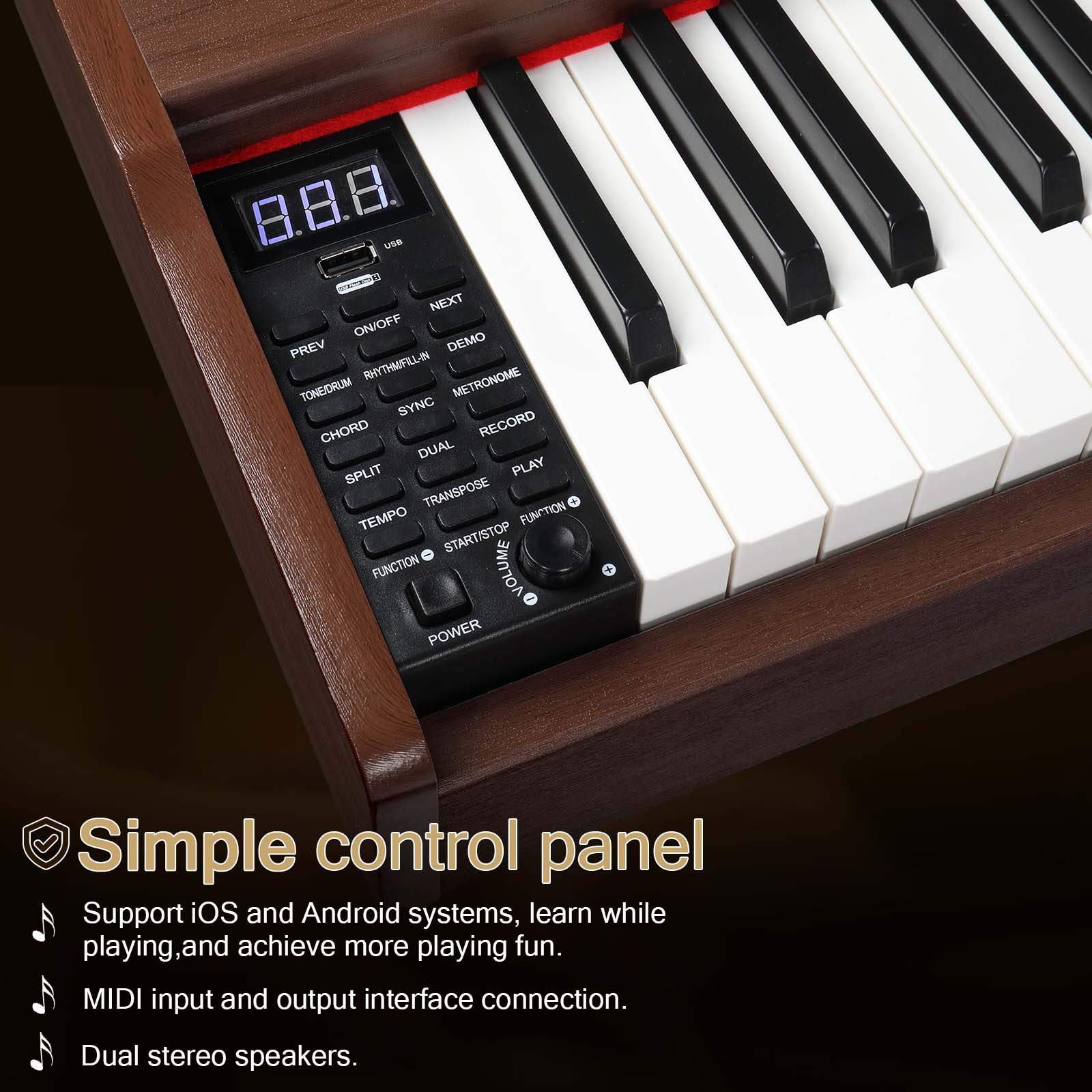 8.8.8 use NEXT ON/OFF PREV DEMO RHYTHM/FILLIN METRONOME TONE/DRUM SYNC CHORD RECORD DUAL SPLIT PLAY TRANSPOSE TEMPO FUNCTION START/STOP VOLUME POWER

Simple control panel
Support iOS and Android systems, learn while playing, and achieve more playing fun.
MIDI input and output interface connection.
Dual stereo speakers.