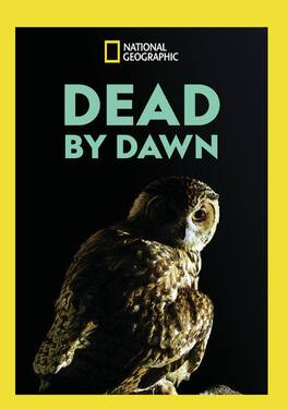 Dead By Dawn - DVD