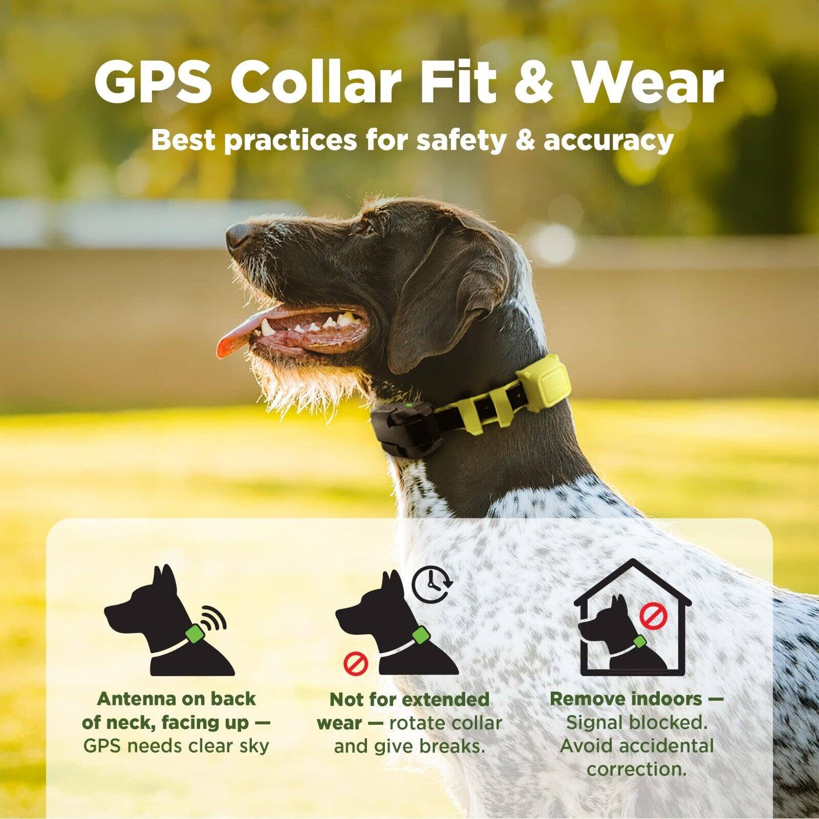 GPS Collar Fit & Wear  
Best practices for safety & accuracy  

- Antenna on back of neck, facing up – GPS needs clear sky  
- Not for extended wear – rotate collar and give breaks  
- Remove indoors – Signal blocked. Avoid accidental correction.