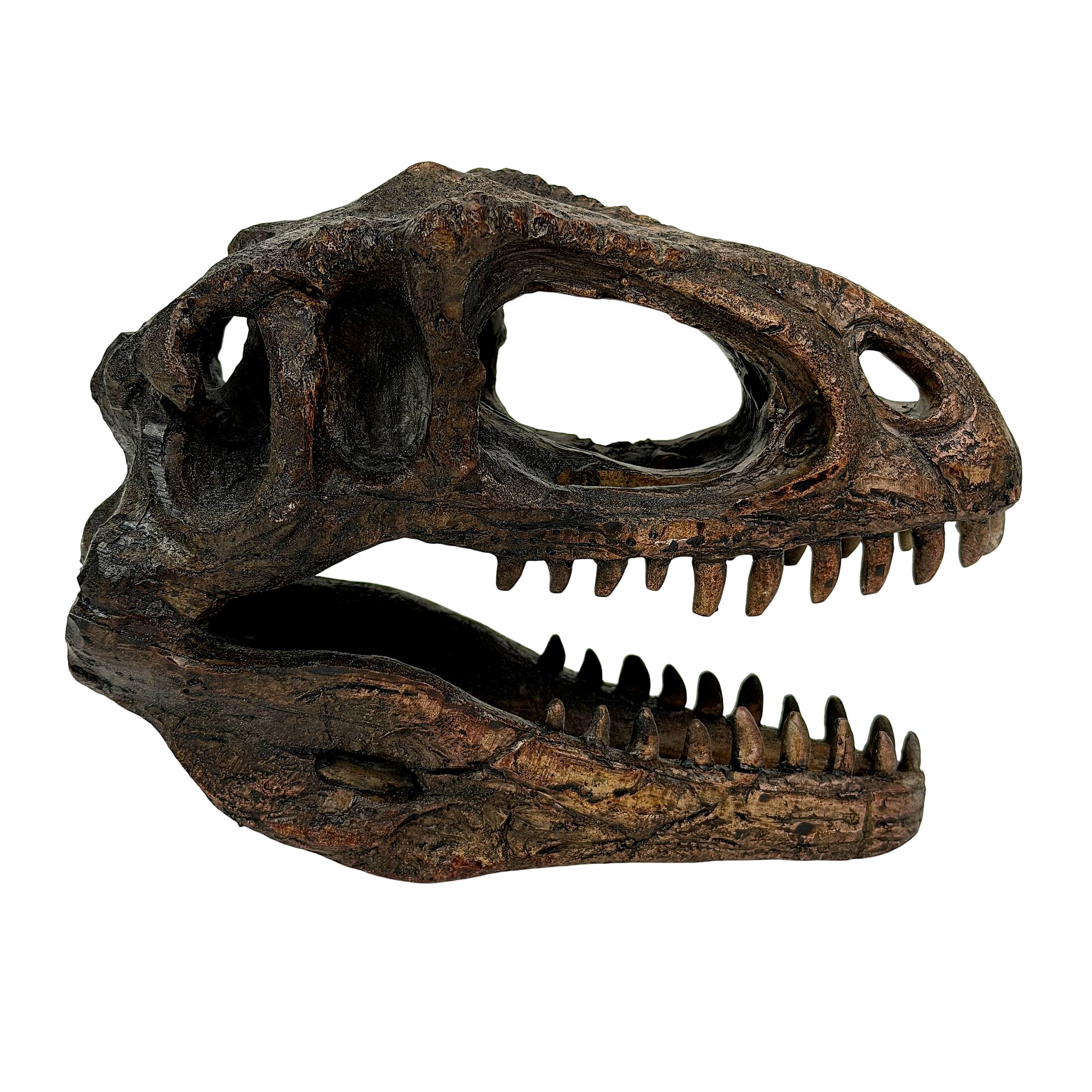 Alt View 7. Things2Die4 - Giganotosaurus Dinosaur Statue Weathered Brown Resin 6.5 Inch Tabletop Decor - Brown.