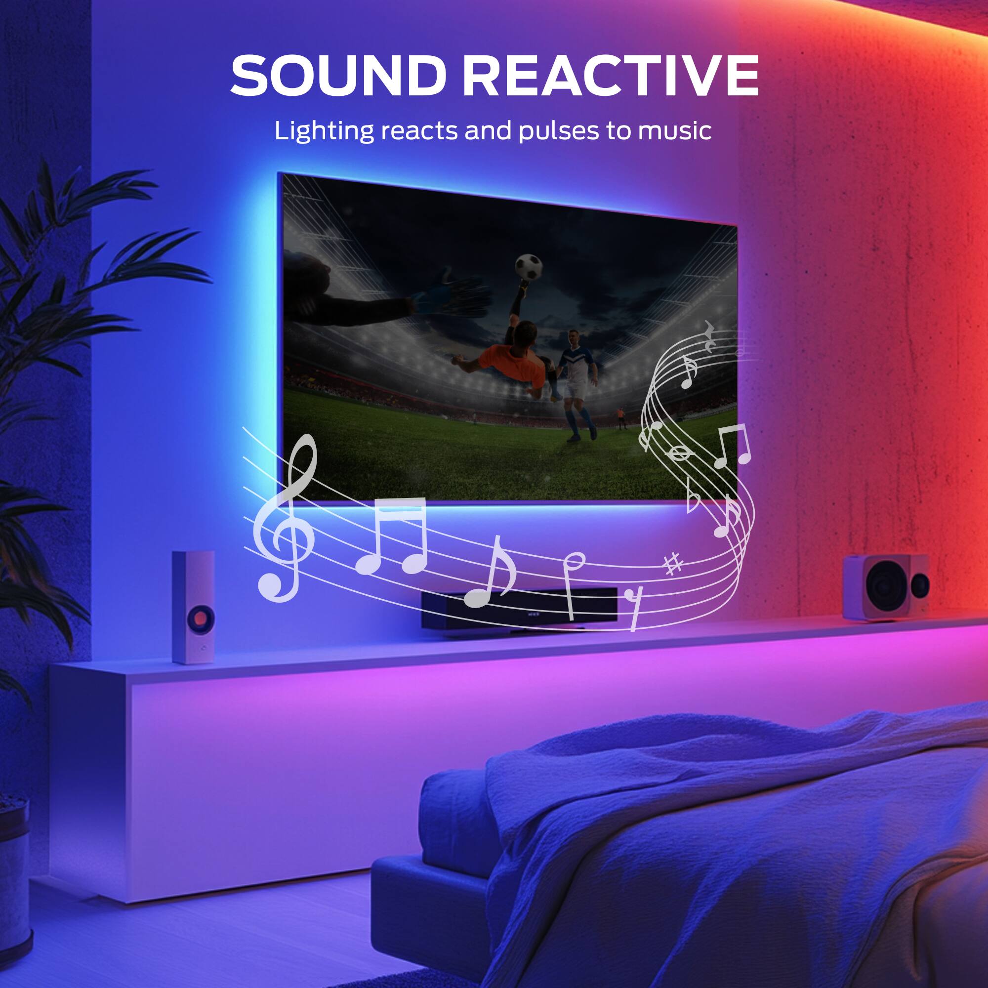 SOUND REACTIVE  
Lighting reacts and pulses to music