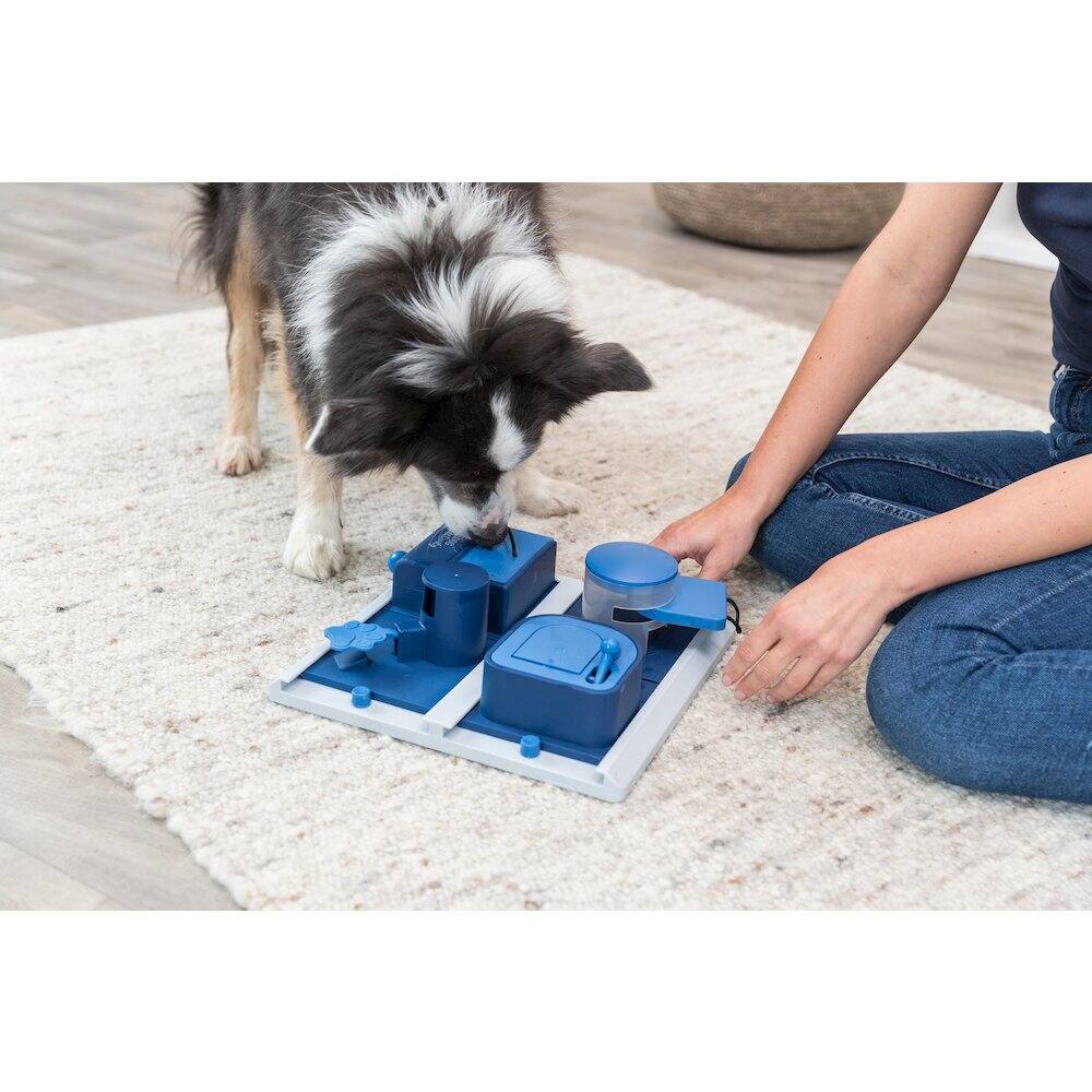 Left. TRIXIE - Dog Activity Poker Box 2 Strategy Game, Level 2 Dog Puzzle Toy, Treat Dispenser - White/Blue.
