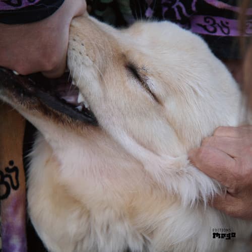 Christian Fennesz - It's Hard For Me To Say I'm Sorry   - COMPACT DISCS [CD] price history on PriceWatchPro