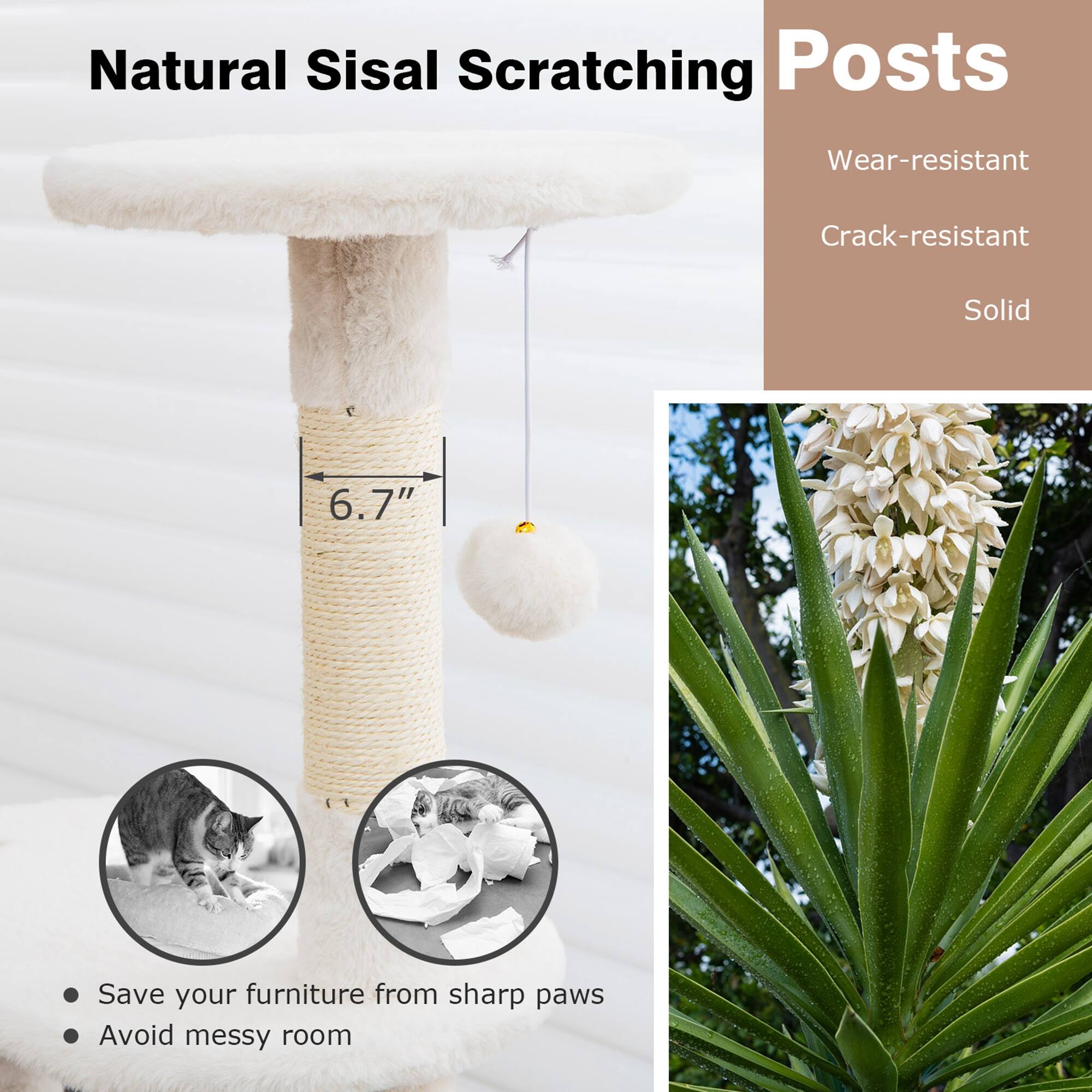 Natural Sisal Scratching Posts

- Wear-resistant
- Crack-resistant
- Solid

6.7"

- Save your furniture from sharp paws
- Avoid messy room