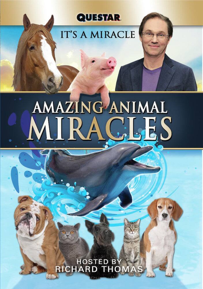 Front. Amazing Animal Miracles (MOD) (DVD Movie).