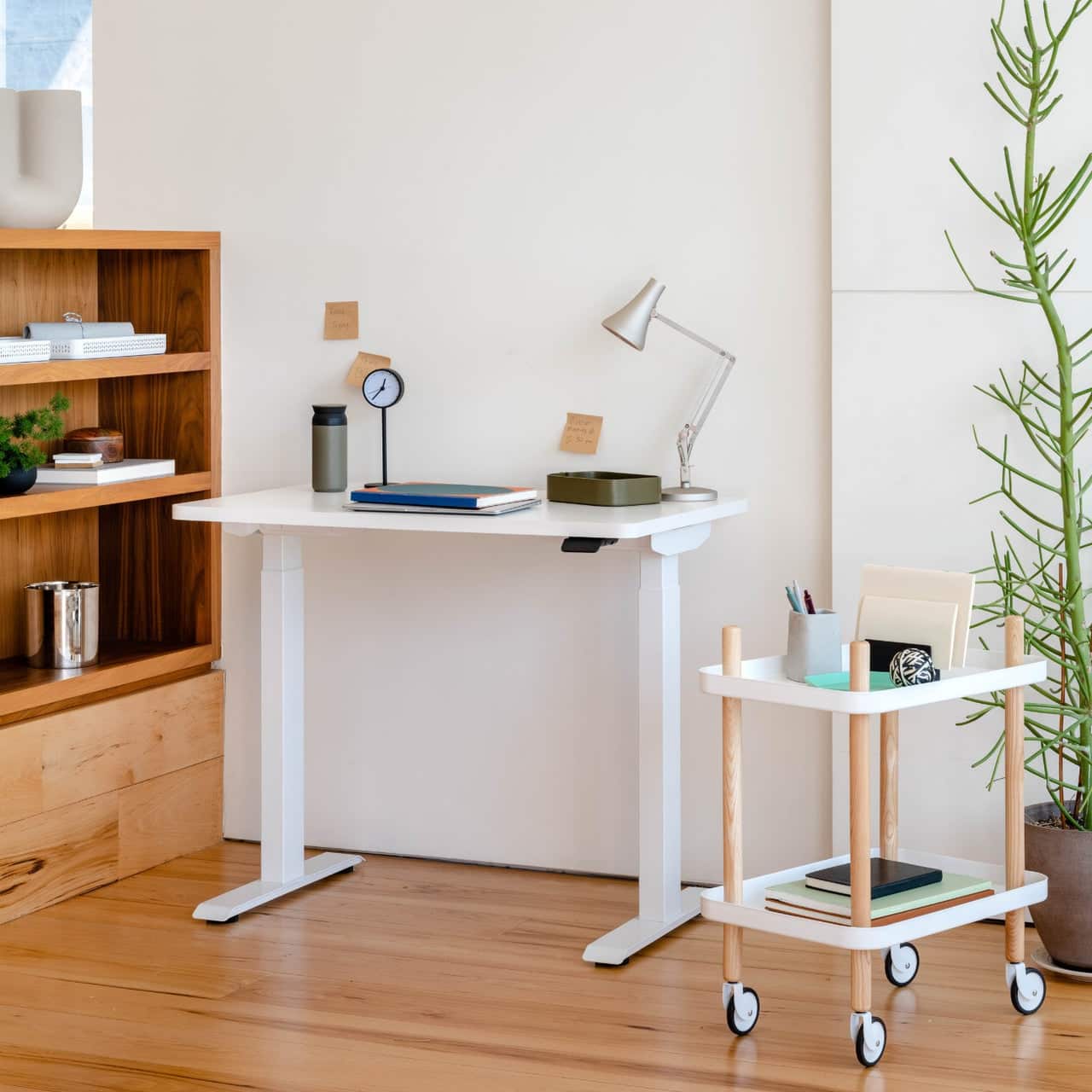 Branch Furniture - Duo Standing Desk 48" – Adjustable Desk with OLED Control Panel, Frameless Design & Compact Footprint - White / White