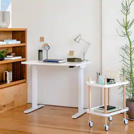 Branch Furniture - Duo Standing Desk 48" – Adjustable Desk with OLED Control Panel, Frameless Design & Compact Footprint - White / White